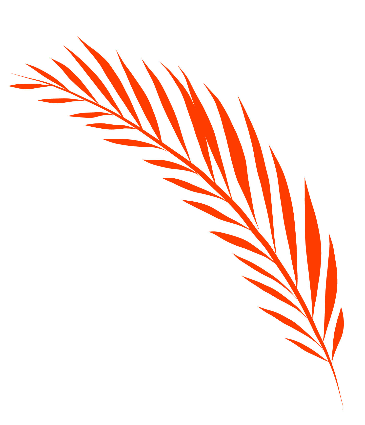 Decorativo DER 06